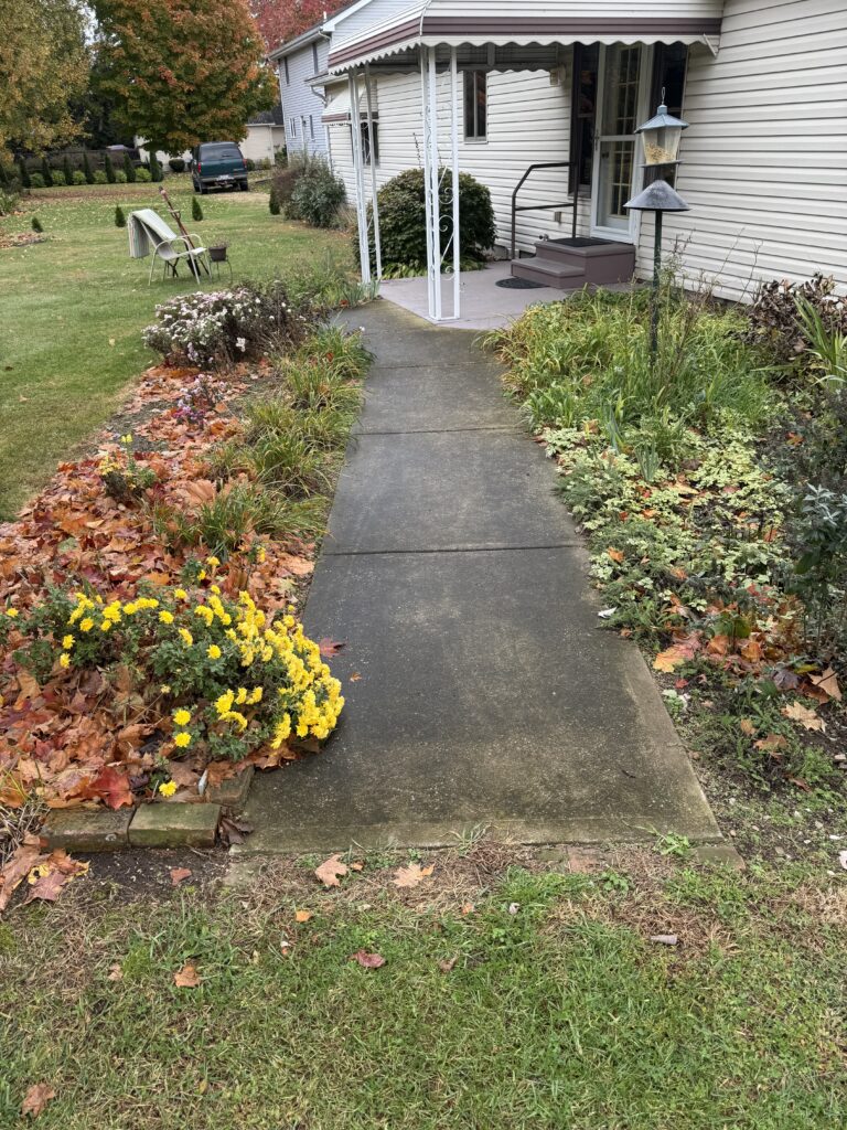 Before sidewalk cleaning in Painesville OH