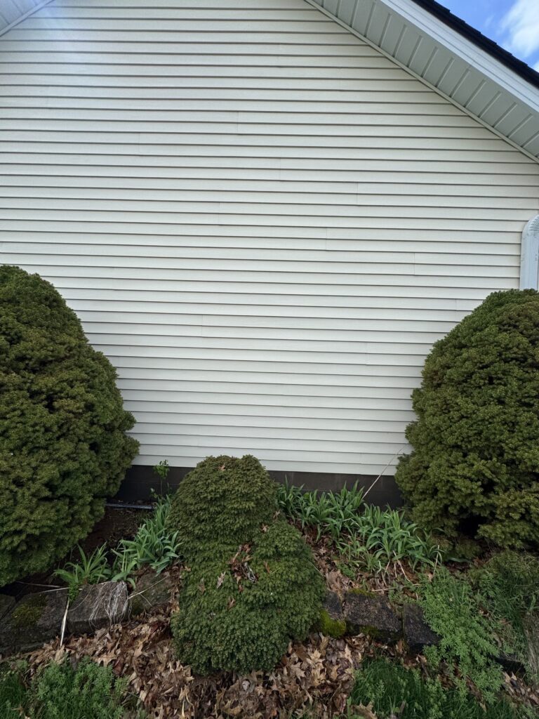 House Washing Before and After - by Wiley's Pressure washing in Mentor OH