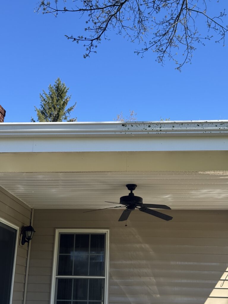 House Washing Before and After - by Wiley's Pressure washing in Thompson OH