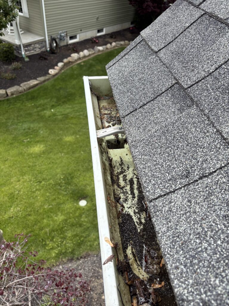 Close-up of a roof edge with gray asphalt shingles and a clogged gutter filled with leaves; lawn and house foundation visible in the background.