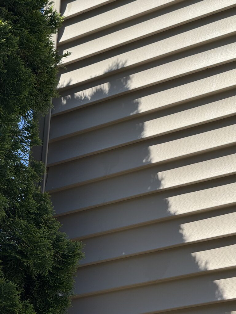 Beige horizontal siding with shadows of a leafy shrub cast on the wall, shrub visible on the left.