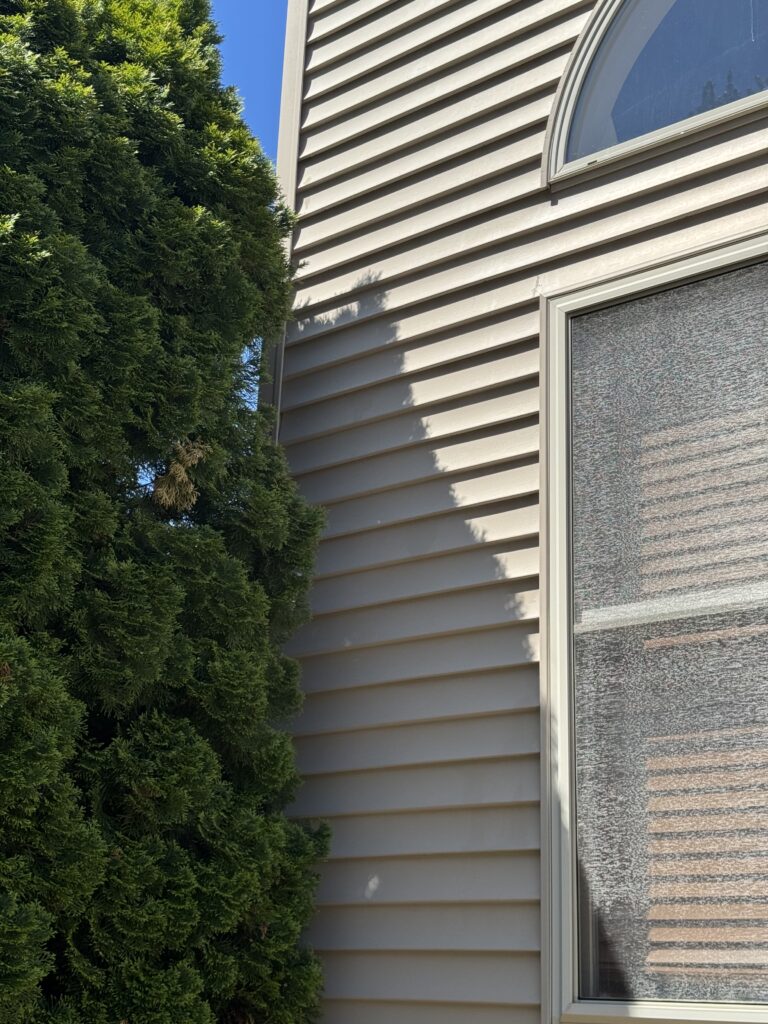 Beige siding wall with a large curved-top window, next to dense green shrubs under a blue sky.
