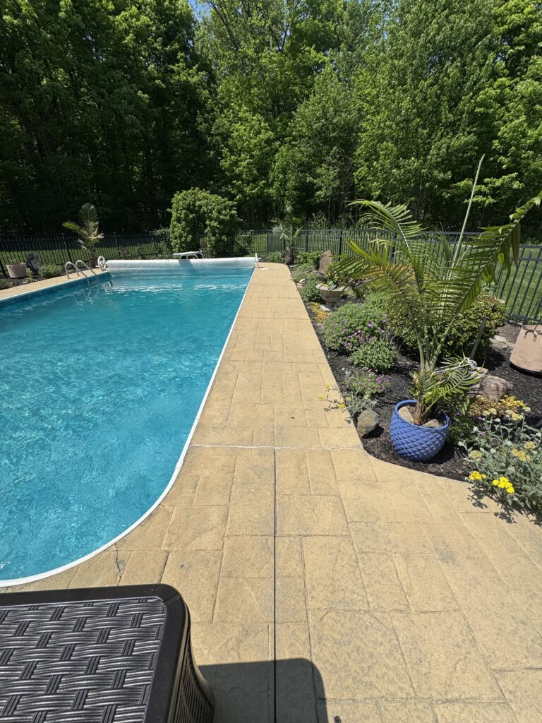 Backyard pool with blue water, beige tile deck, and lush green trees behind a black fence.