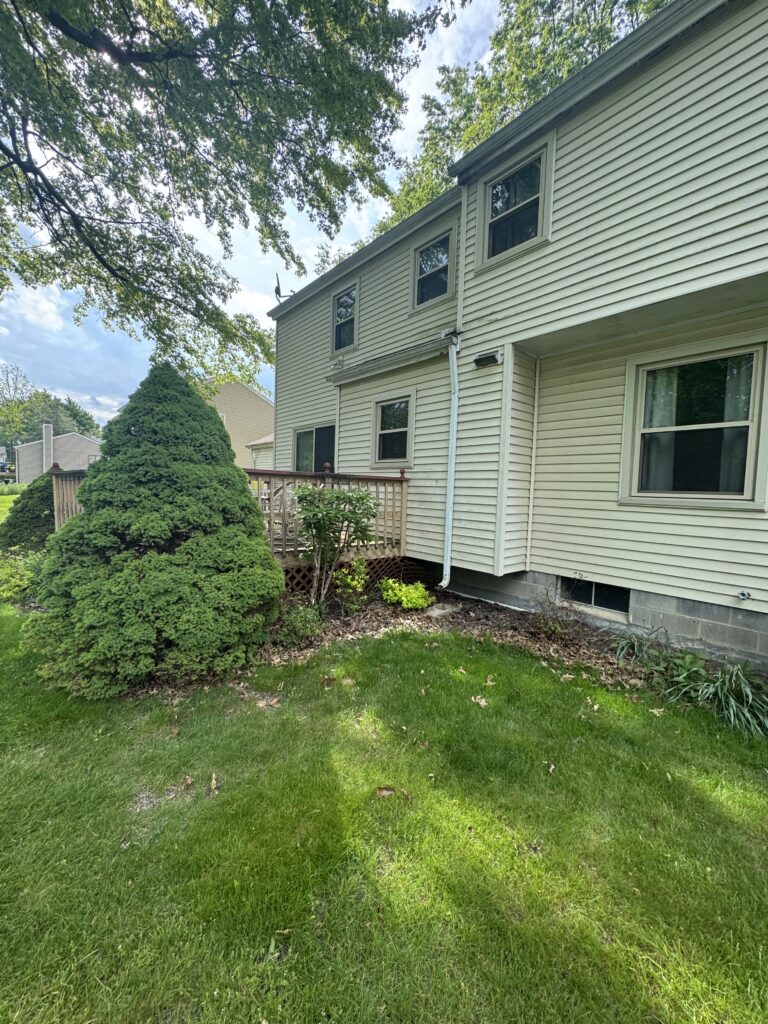Backyard of a beige siding house with a wooden deck, trimmed evergreen shrub, and a grassy lawn under large tree branches overhead