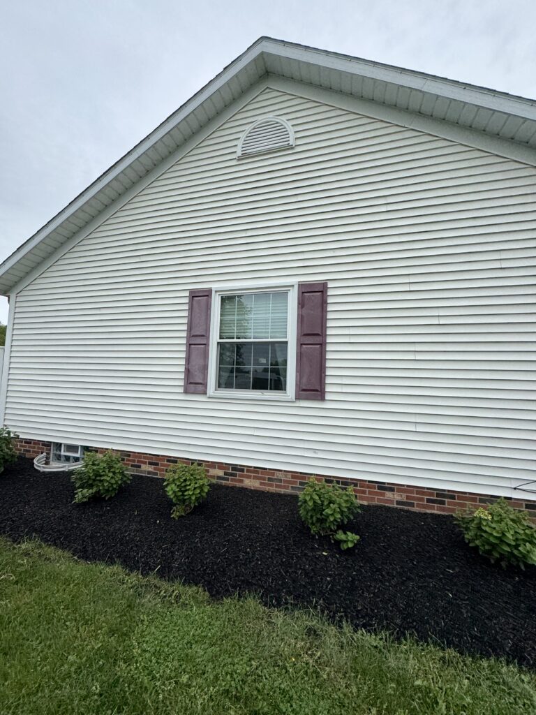 Side of a white vinyl-sided house with a window and purple shutters, dark mulch bed, and green shrubs along the foundation