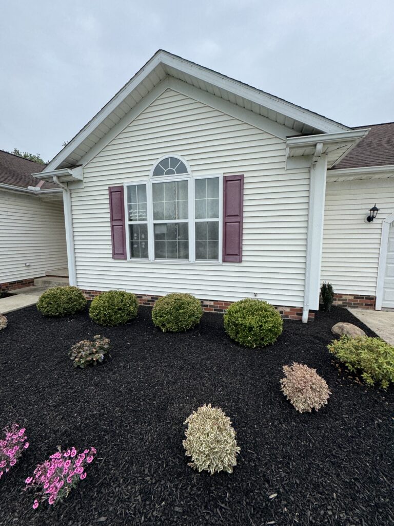 Front view of a white siding house with a gable roof, a large window with an arched top, and burgundy shutters; a mulched yard with round shrubs.