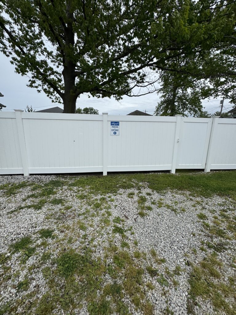 White privacy fence with a large tree behind it, gravel and sparse grass in the foreground.