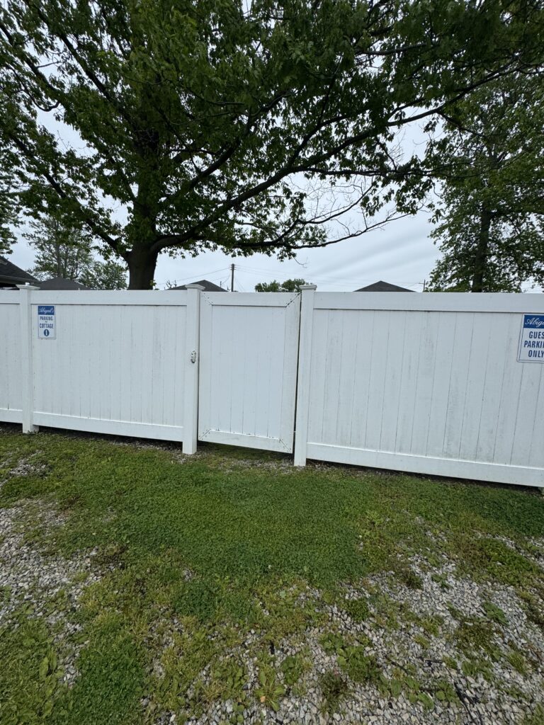 White vinyl fence with a gate in a yard, green grass and gravel in the foreground, a large tree spreading branches overhead.
