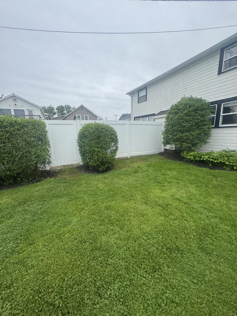 Backyard with a white fence, trimmed bushes, and a gray house on the right under an overcast sky.