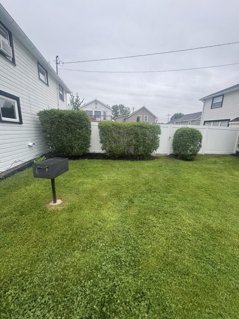 Backyard with green lawn, white houses, a black free-standing grill, and trimmed shrubs along a white fence under cloudy sky