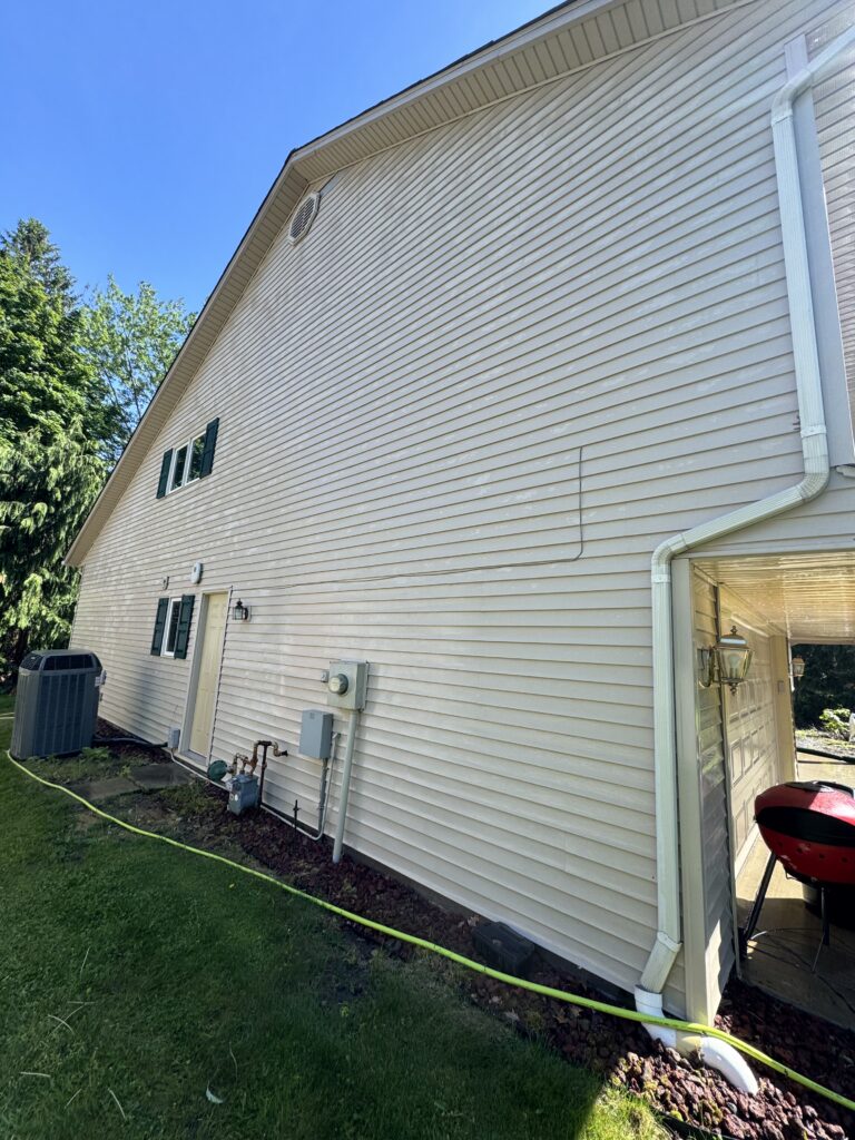 Side of a beige vinyl-sided house with white gutters, outdoor utilities, and a yellow hose along the ground by the lawn.