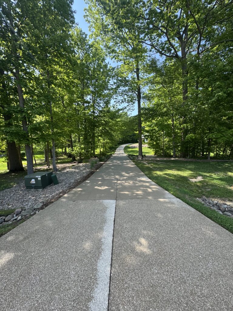 Paved park path runs straight through a sunlit green space flanked by tall trees and grassy edges, with a utility box on the left.