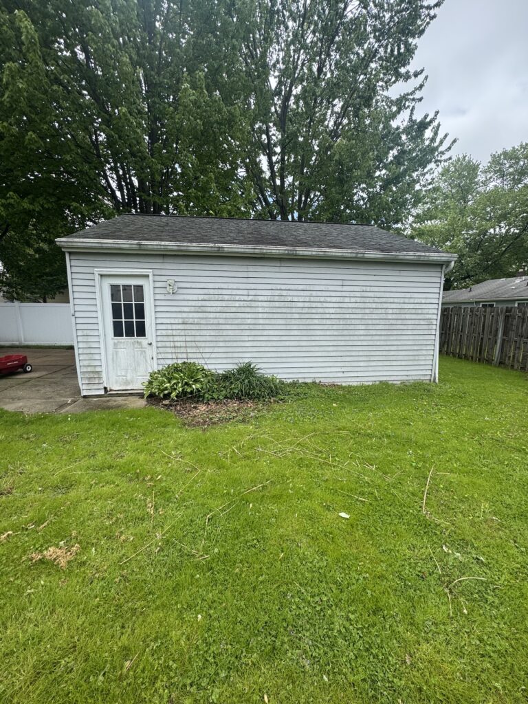 White wooden shed with a single door and windowed panel, in a backyard with green grass and a tall tree behind it, and a wooden fence to the right