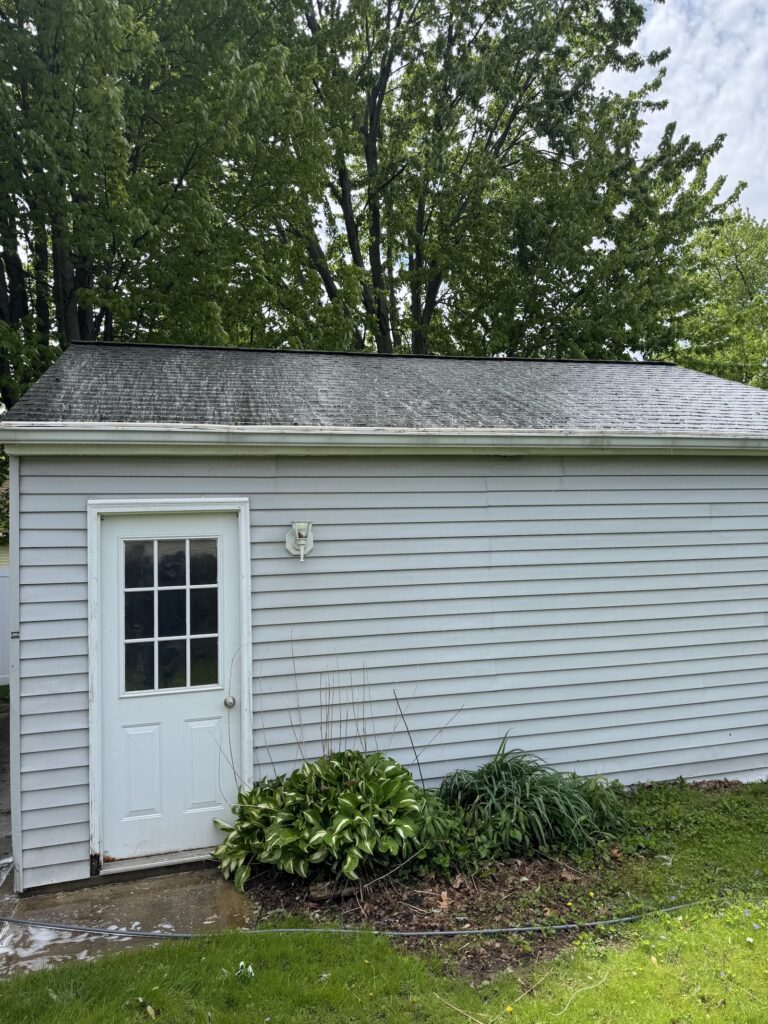 Small backyard shed with light blue siding and a white door, set against a large leafy tree; wet ground and a garden hose nearby.