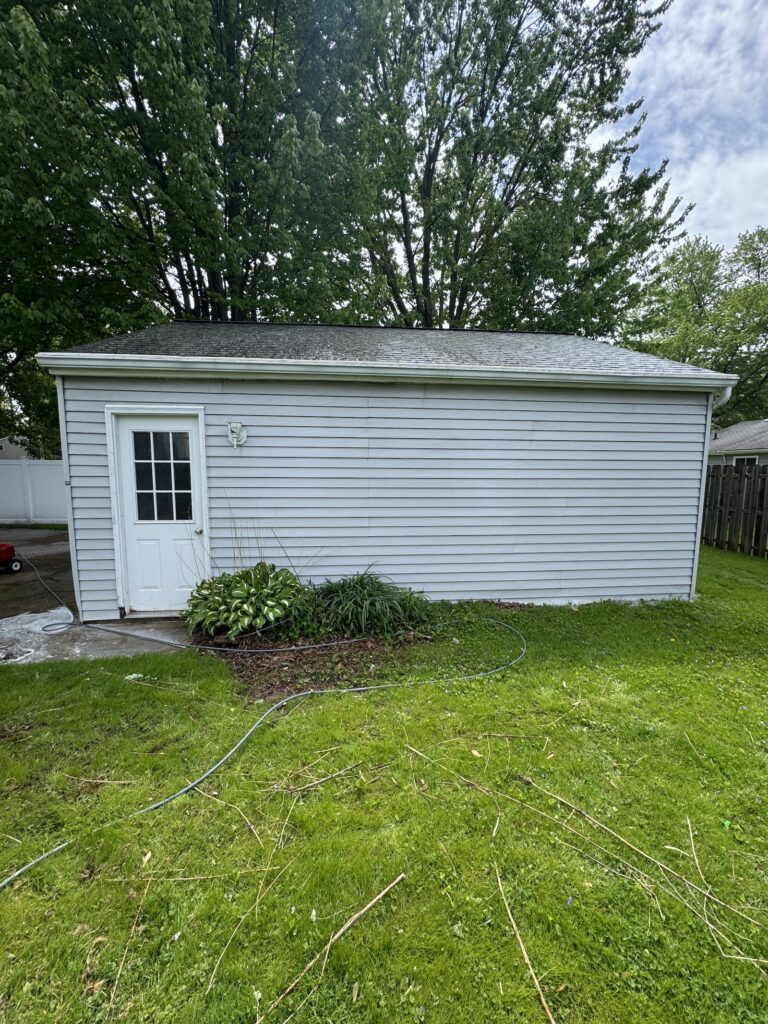 Blue shed in a backyard with a white door, garden plants in front, and a large leafy tree behind the structure.