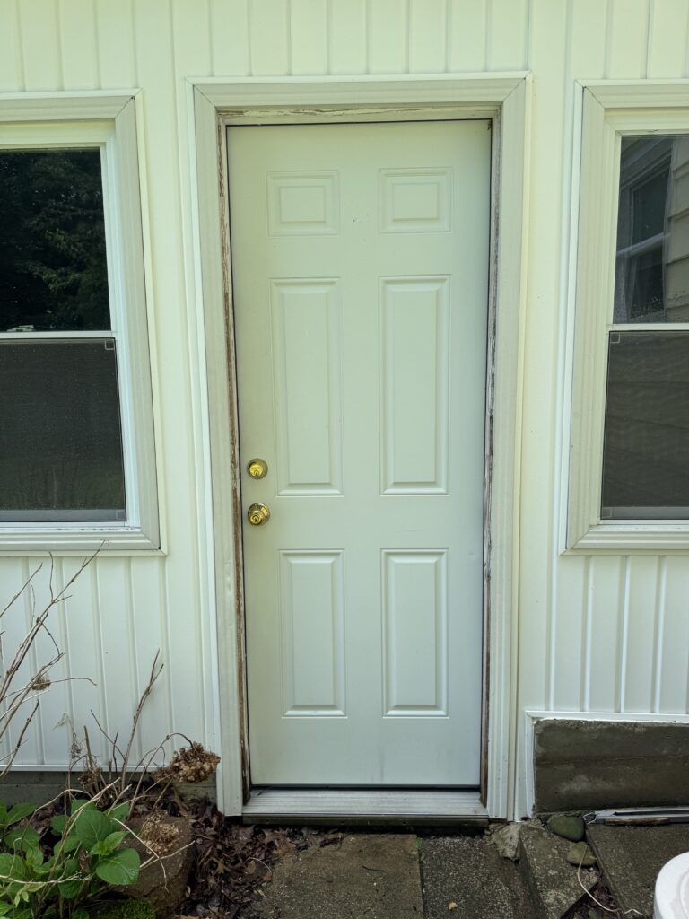 Light green front door with raised panels, flanked by white-framed windows on a siding house, with weathered trim and a small concrete step below.