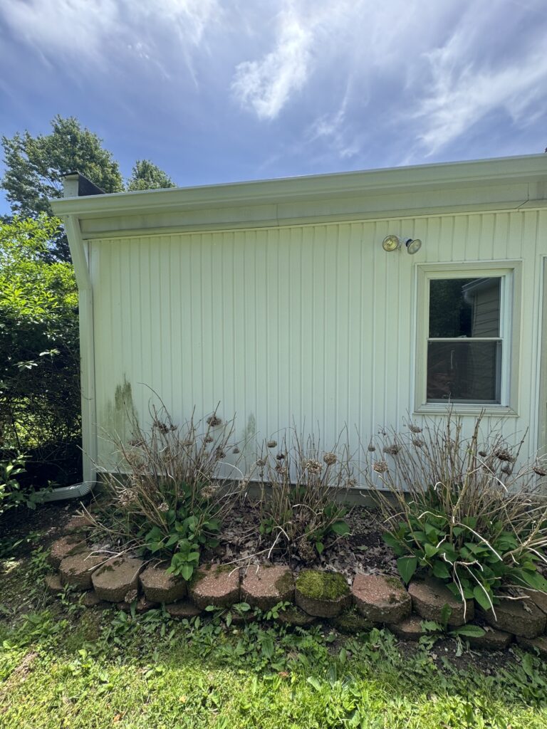 White exterior wall with a small window and double outdoor lights, dried brown grasses in a brick-edged garden bed in front of the house.
