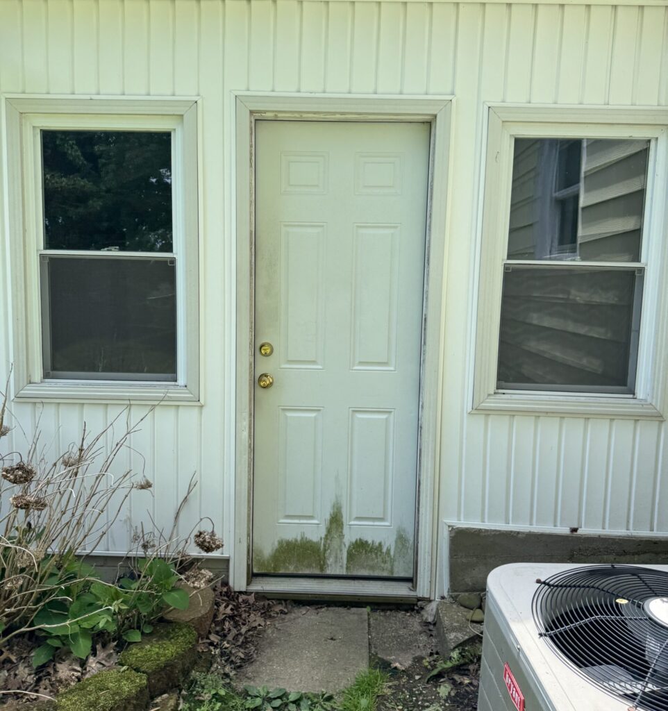 White exterior door centered between two windows on a light siding wall; overgrown plants and moss at the base, with an outdoor AC unit on the right.