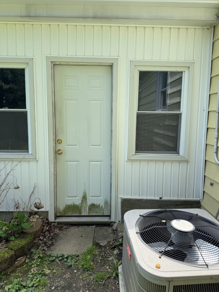 Exterior doorway between two white-framed windows on a light-sided wall; moss at the bottom of the door and vegetation nearby, with an outdoor HVAC unit in the foreground.