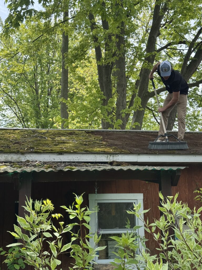 Person on a roof sweeping moss off with a broom, trees and green foliage in the background.