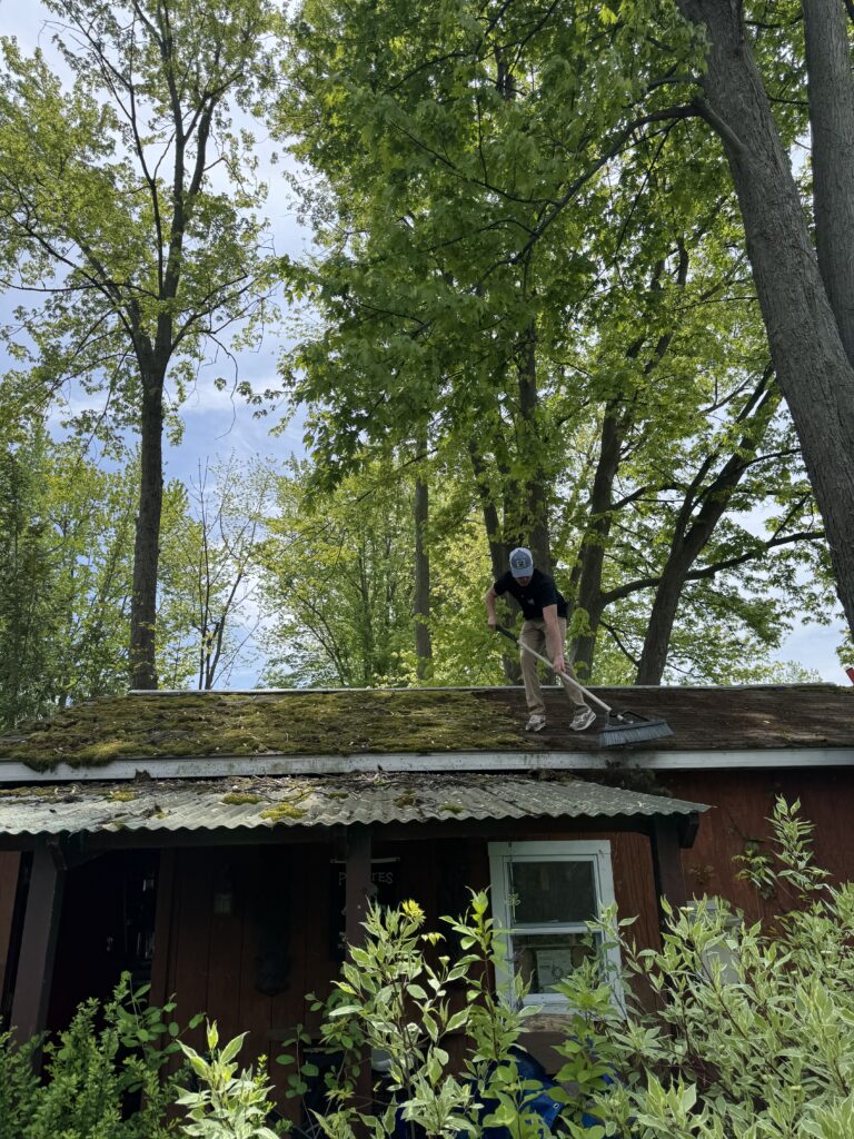 Person on a mossy roof sweeping with a broom, surrounded by trees and a wooden house in the background.