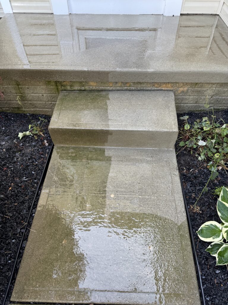 Wet concrete steps and landing at a house entrance, with water pooled on the surface and surrounding dark mulch beds and greenery on both sides.