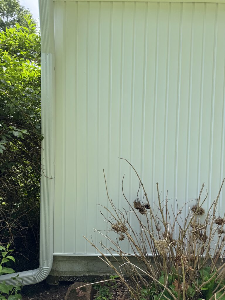 Side of a pale green house with vertical siding and a white downspout after being cleaned by Wiley's Pressure Washing Services Dried brown shrubs in front and green plants to the left in Painesville, OH