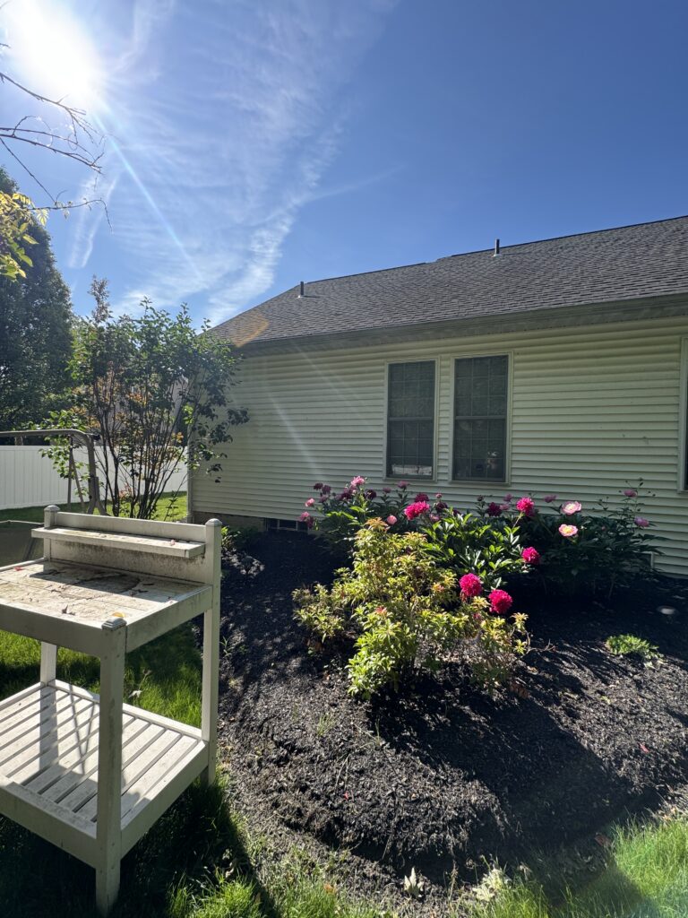 Backyard garden with pink flowers beside a beige house and a white wooden bench under a sunny blue sky.
