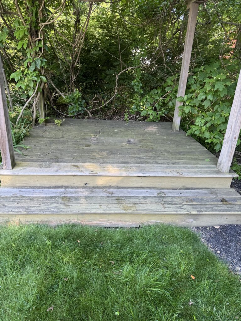 Weathered wooden deck partly covered by tangled vines and dense green foliage, with grass visible at the edge.