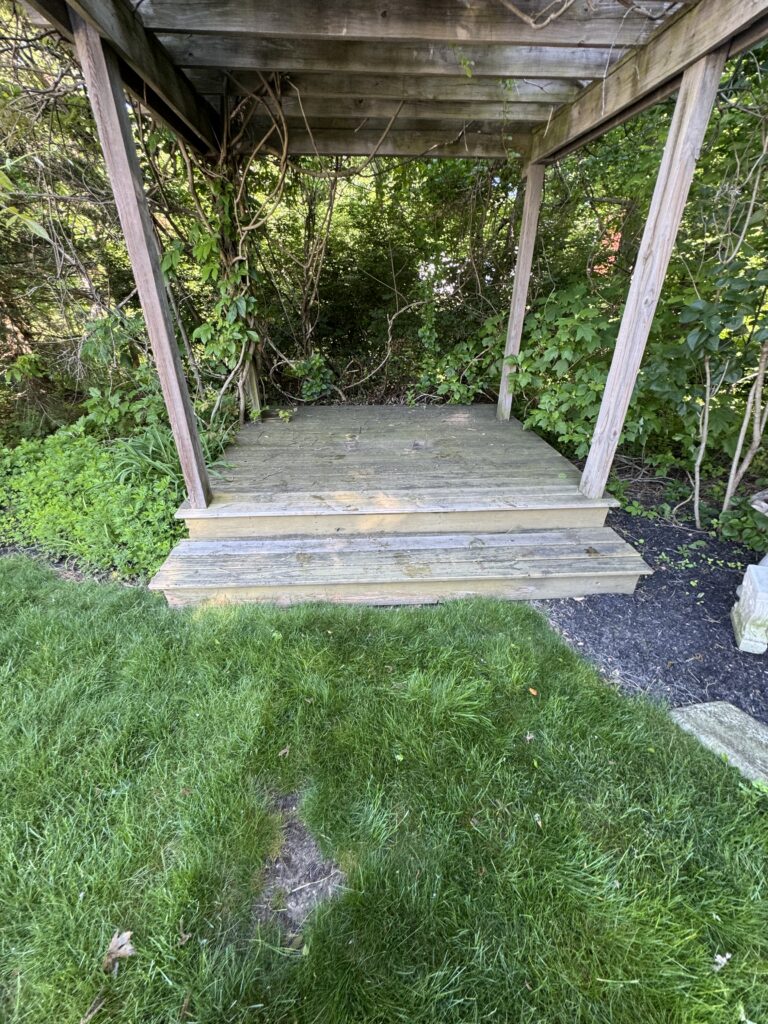 Weathered wooden platform or deck under a small structure, with vines and greenery growing around and through the posts; lush vegetation surrounds the scene.