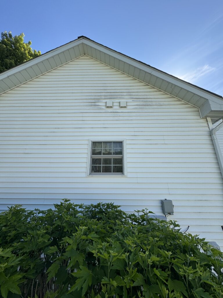 White house wall with a steeply pitched roof and a small rectangular window beneath, blue sky above, and dense green shrubbery in the foreground.