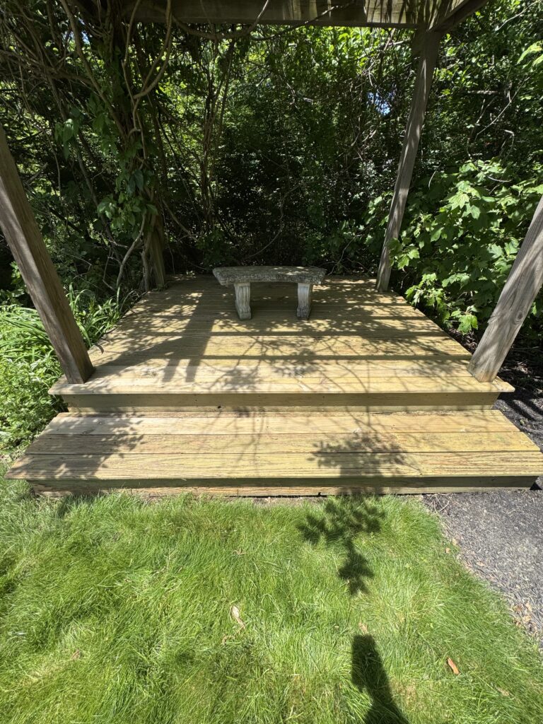 Wooden deck with a stone bench surrounded by dense green foliage and vines.