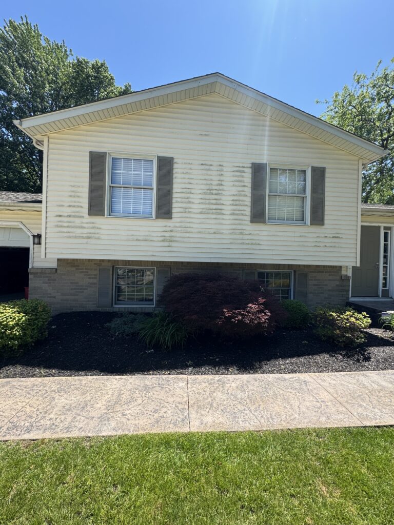 Front of a beige siding house with two windows and gray shutters, small landscaped shrubs in front yard on a sunny day.