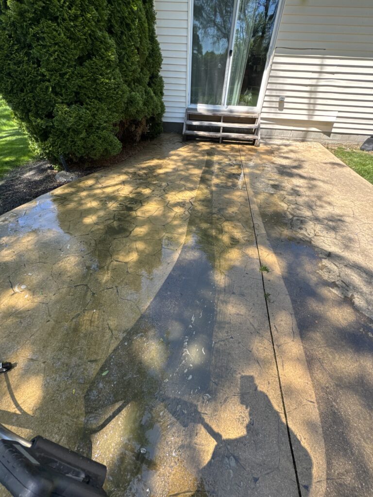 Wet stamped-concrete patio beside a sliding glass door, with tall evergreen shrubs on the left and dappled shadows.