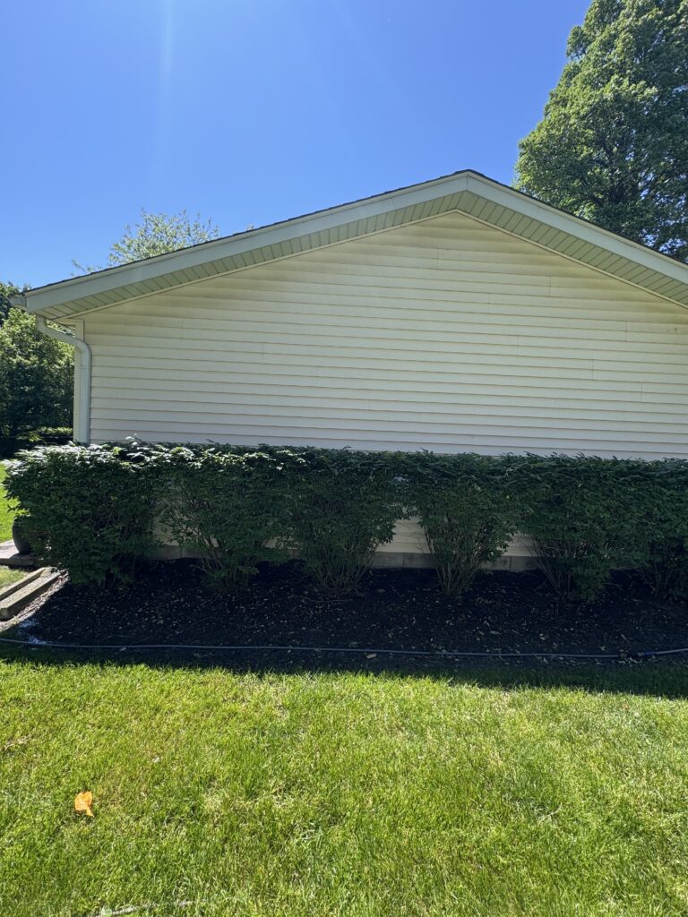 White siding house with a gabled roof and a row of trimmed bushes along the foundation under a bright blue sky.