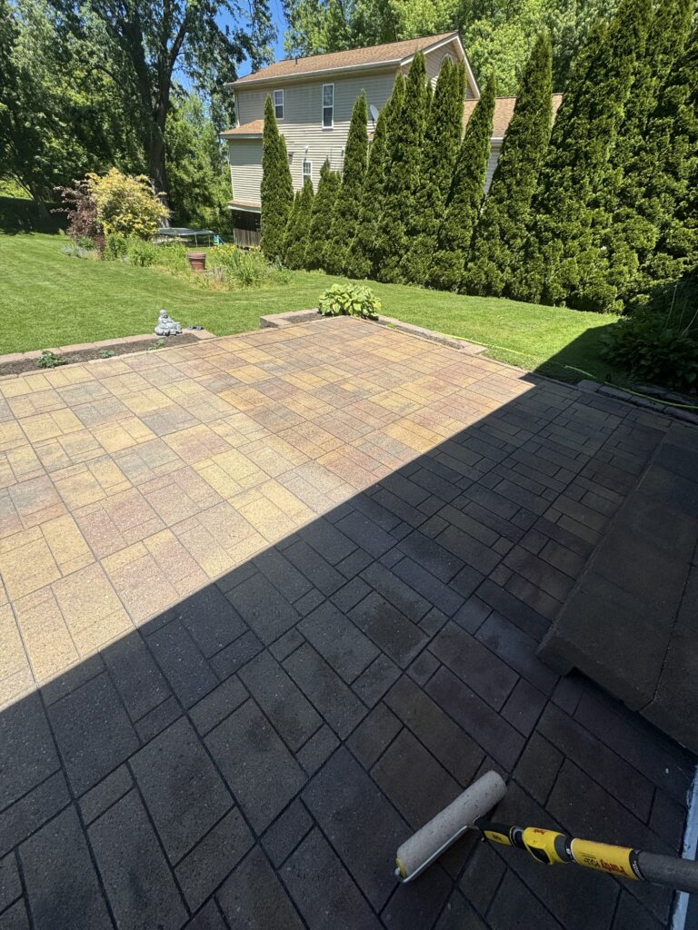 Backyard patio with tan brick pavers, a rolled paint roller and caulking gun on the ground, green lawn, and a row of tall evergreen shrubs with a beige house in the background.
