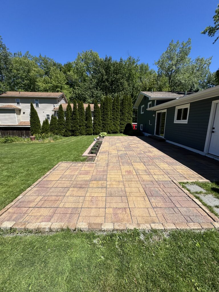 Residential backyard with a brick-paver path, green lawn, and tall evergreen hedge between houses under a blue sky.