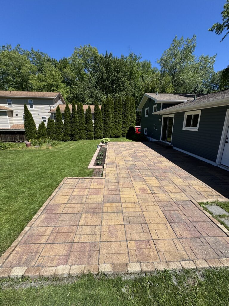 Backyard with a tan brick patio, green lawn, and tall evergreen trees lining a fence between two houses on a sunny day.