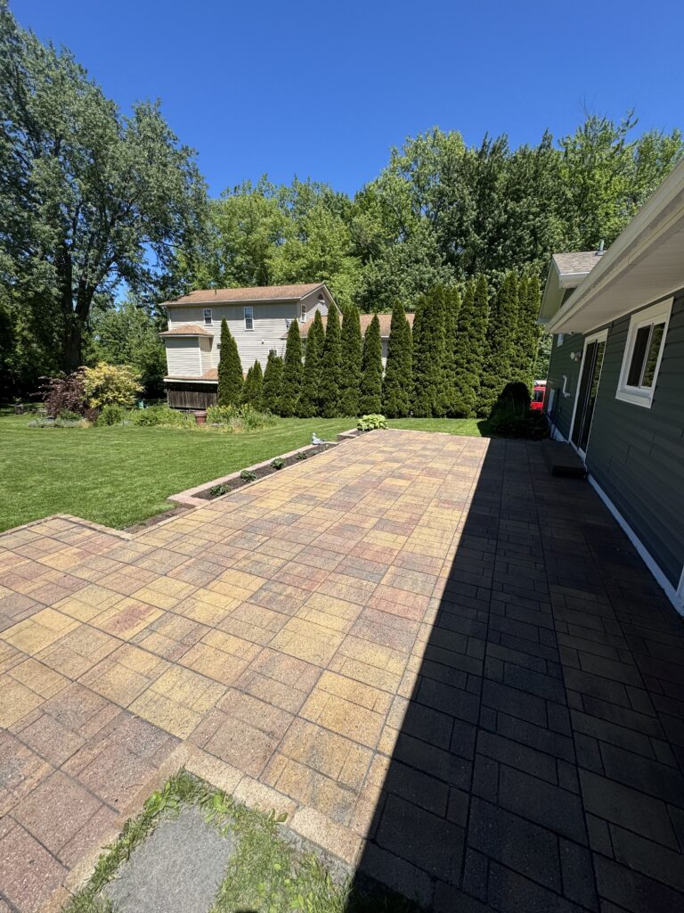 Backyard patio with tan and brown pavers, a row of tall evergreen trees, and a beige house beyond on a sunny day.