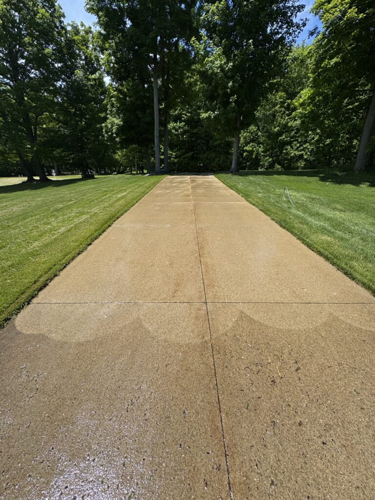 Straight concrete park path lined with green grass and tall trees on a sunny day out into a shaded forested area