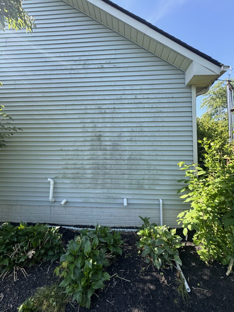 Side of a light-blue house with horizontal siding, white gutters, and several white pipes along the foundation, with green shrubs in front.