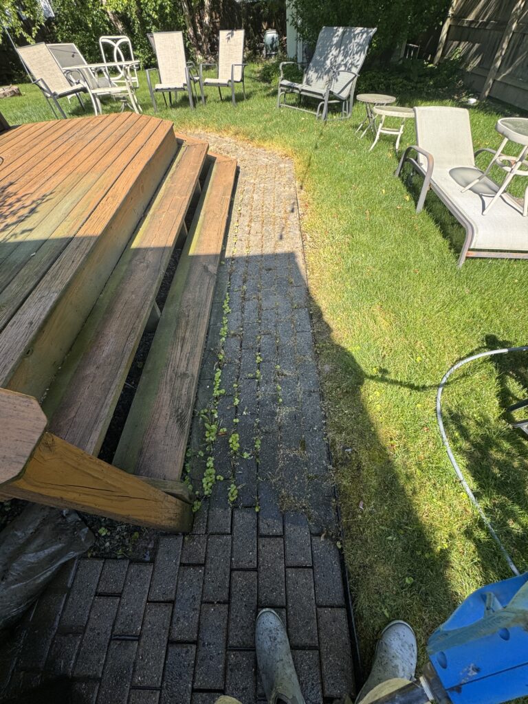 Backyard scene viewed from a person’s feet: wooden steps leading to a grassy yard with worn patio chairs scattered and a hose on the right side.