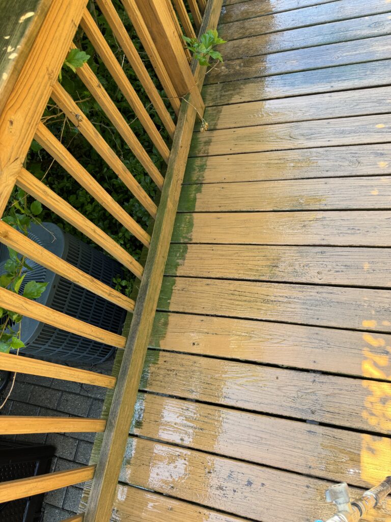 Angle view of a wooden deck with a diagonal railing, green plants behind, and moss along the edge where boards are wet from rain or cleaning.