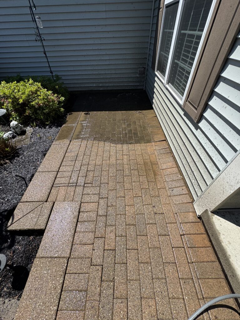 Wet brick patio beside a house, with a big window and blue siding; a small garden bed with shrubs on the left.