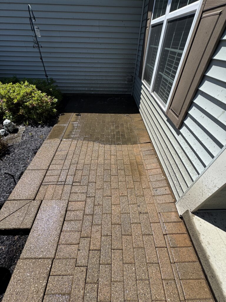 Wet brick patio parallel to the house, with a garden bed and shrub on the left and a tall metal shepherd’s hook with a hanging feeder; a large window with brown shutters on the right.