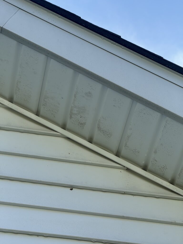 White metal siding and eaves of a building with a black roof edge Before being cleaned by Wiley's pressure washing services in Madison, OH