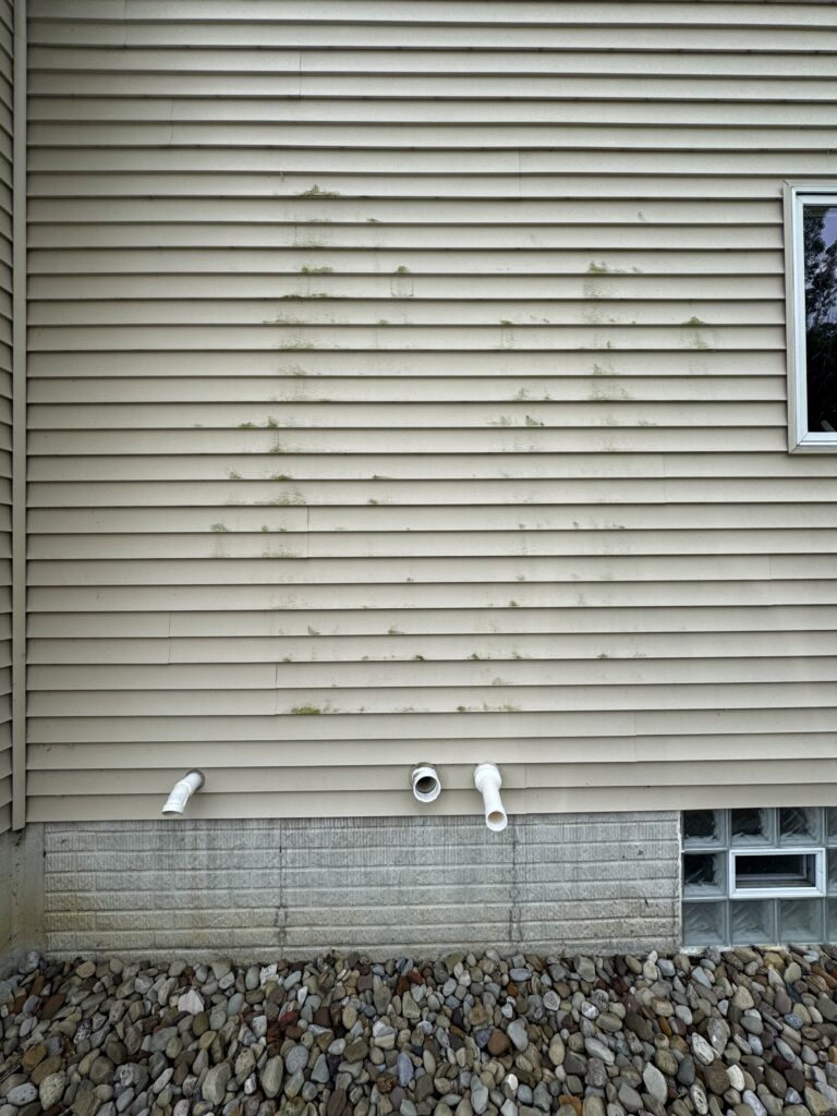 Beige vinyl siding wall with green algae stains, a small window on the right was all cleaned in Madison, OH by Wiley's Pressure Washing Services